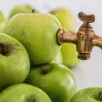 Water conservation at Vibgyor 5