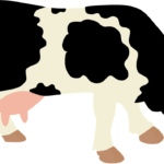 Cow falls into an open drain 1