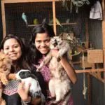 A pet sitter for all in the time of pandemic 3