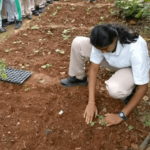 Community organic gardening is a hit in HSR Layout! 9