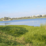 Sex, drugs and crime at Agara Lake! 8 Sex, drugs and crime at Agara Lake! 8