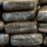 Drug peddlers arrested near NIFT college yet again! 2