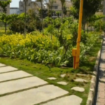 The most beautiful park in HSR Layout 1