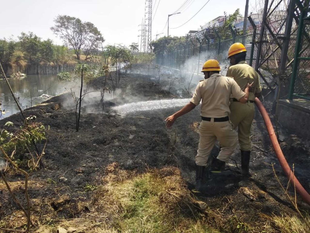 Trees on fire near Agara Lake 5