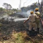 Trees on fire near Agara Lake 5