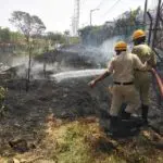 Trees on fire near Agara Lake 9 Trees on fire near Agara Lake 9