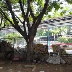 Sai Baba temple in Sector 3 encroaches another section of median park; BBMP looks the other way! 1
