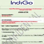 indigo scam