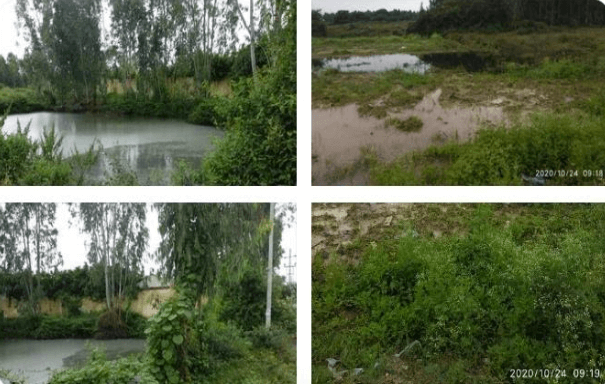 Electronic City residents are organising a 'tweetstorm' on Nov 1 to protest against waste treatment plant 2 Electronic City residents are organising a 'tweetstorm' on Nov 1 to protest against waste treatment plant 2