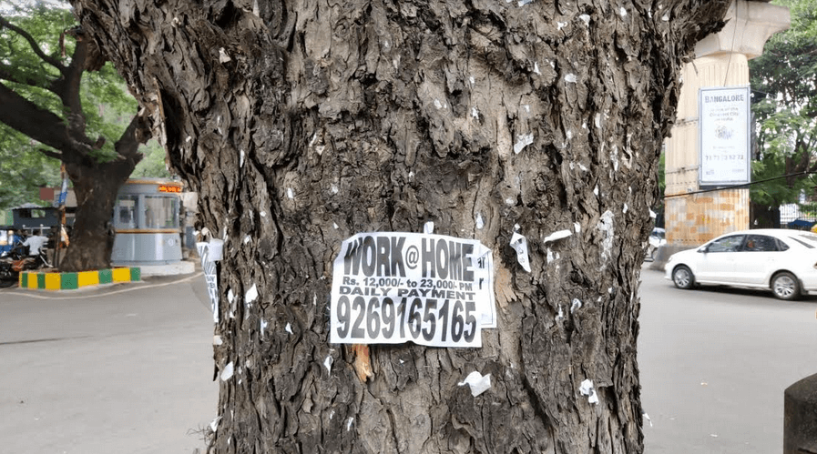 Citizens remove 383 nails and 2000 pins from one peepal tree 2