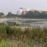 BBMP should take urgent steps to protect revived lakes around HSR Layout 8 somasundrapalya lake