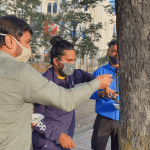 freeing nails from trees