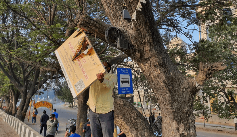 Citizens free 110 trees from nails across the city 4