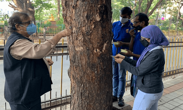 Citizens free 110 trees from nails across the city 6