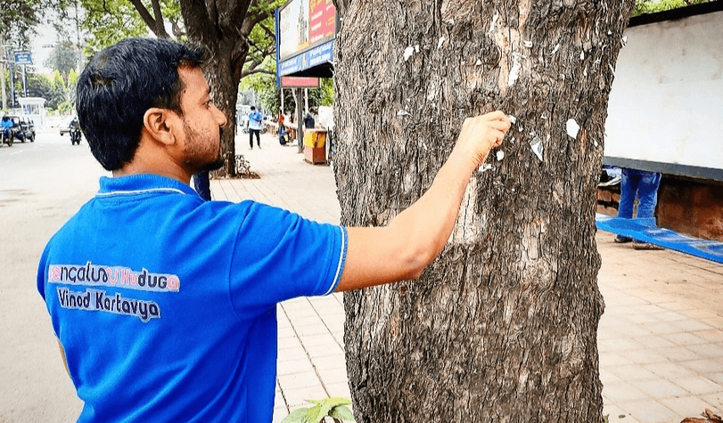 Citizens free 110 trees from nails across the city 8