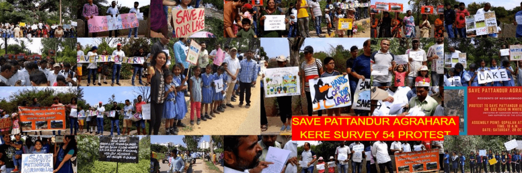 save pattanduru agrahara lake