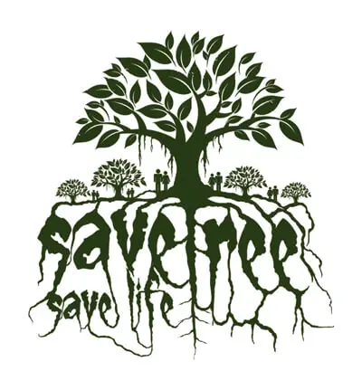 After many citizen protests, BBMP agrees to save some trees 1