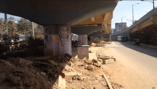 India’s only wildlife arena under flyover completes one year 1