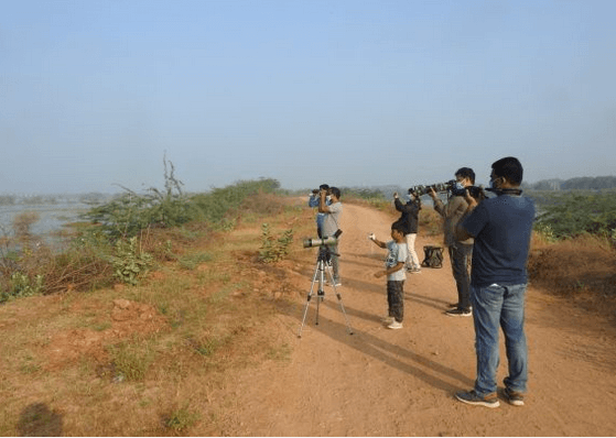 Go on birdwatching walks this Valentine's weekend 1