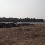 The stink from KCDC compost plant may come down soon 6 The stink from KCDC compost plant may come down soon 4