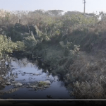 After Agara, residents complain about sewage entering other lakes 4