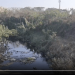 After Agara, residents complain about sewage entering other lakes 2