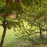 kaikondrahalli lake