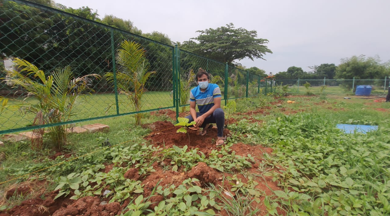 A food park for the birds coming up in Bangalore during the pandemic 1