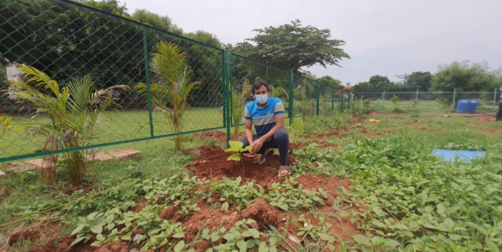 A food park for the birds coming up in Bangalore during the pandemic 6