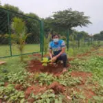 A food park for the birds coming up in Bangalore during the pandemic 1