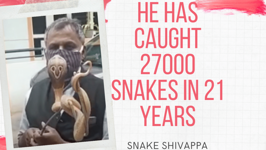 Before you call a snake catcher, read this! 2