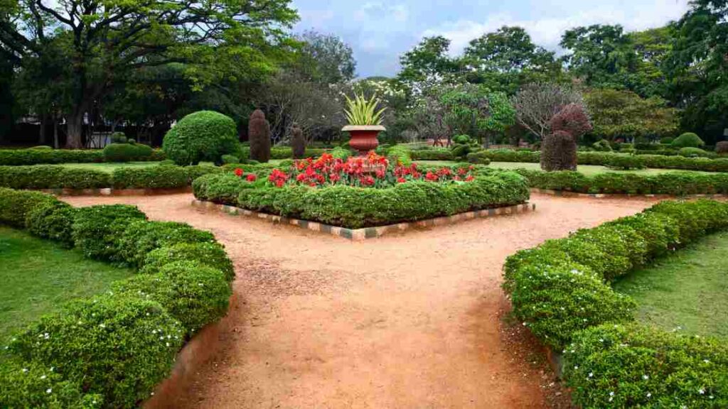 Bengaluru garden