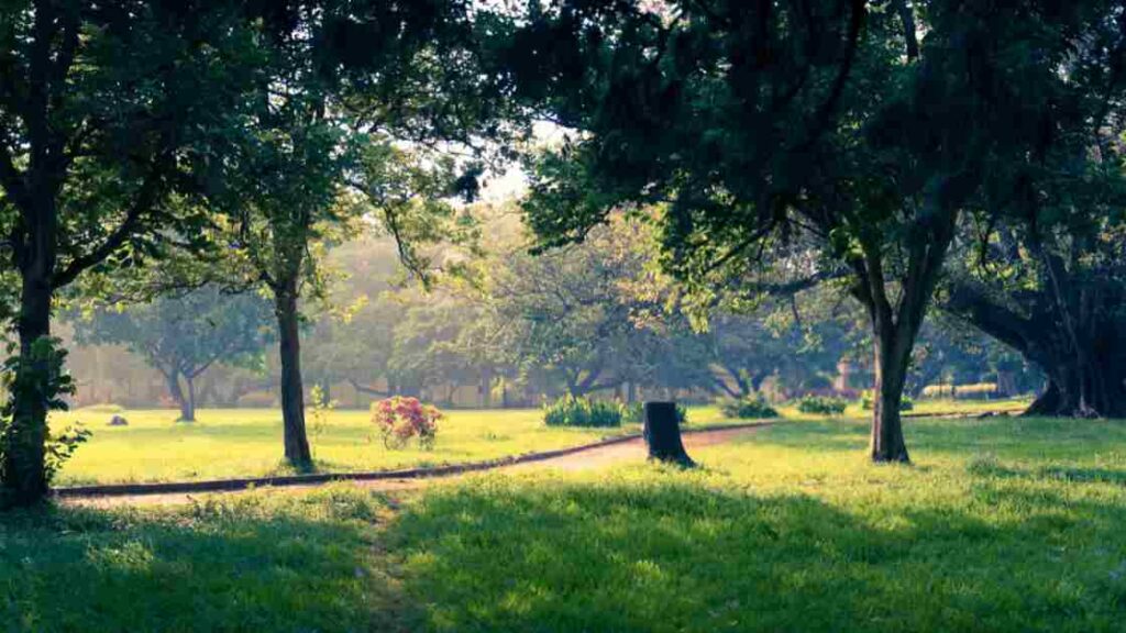 bengaluru park